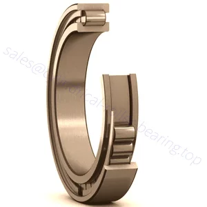 Single Row Full Complement Cylindrical Roller Bearing